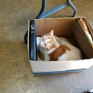 Meet your Posher, Dana